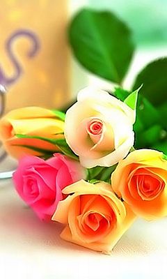 tải hình nền hoa lá 